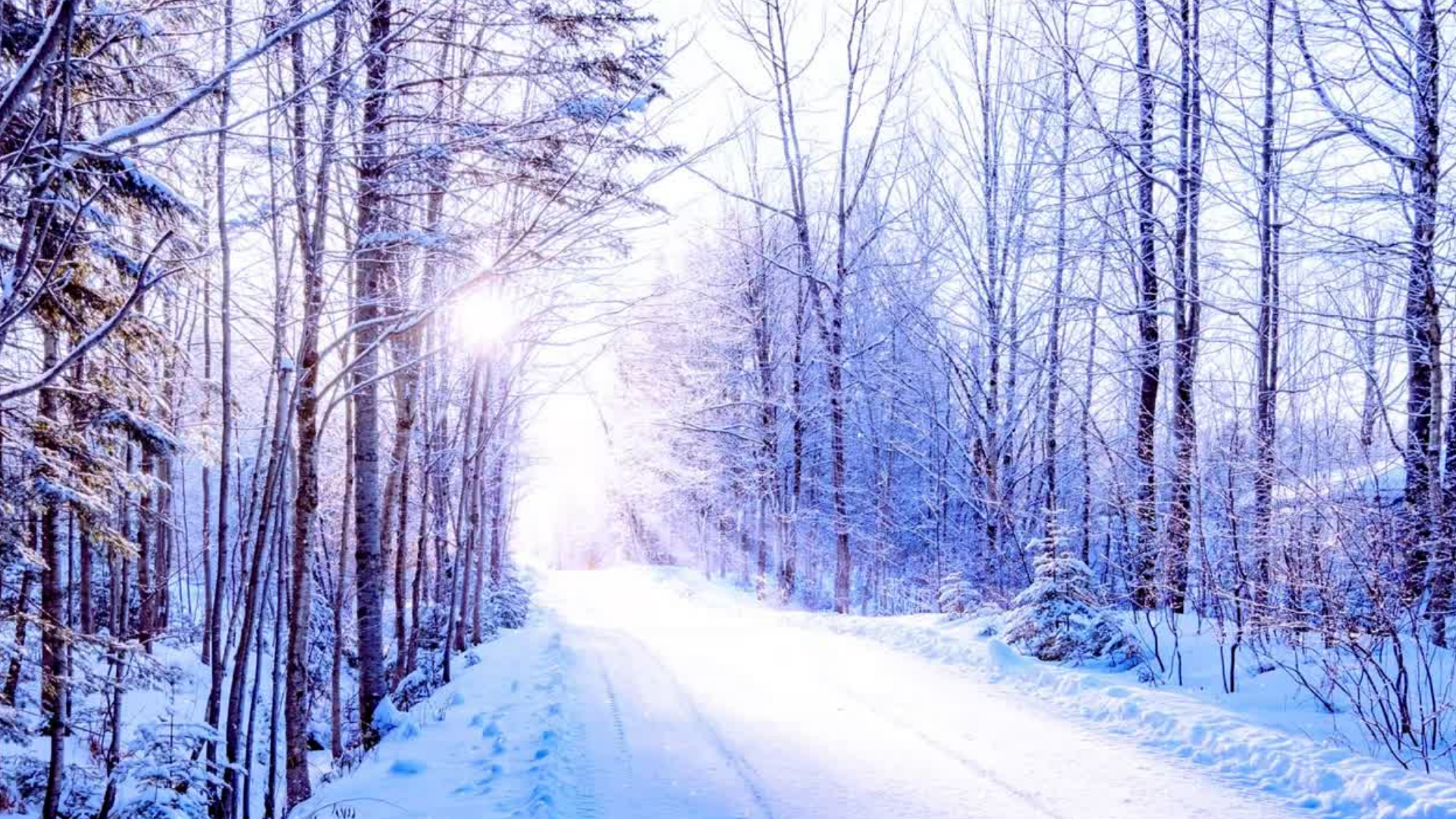 Dit blog van MO-JoY - Moments of JoY - gaat over hoe je in deze winterse dagen toch JoY kunt vinden,  zelfs nu het gewone leven weer begint.